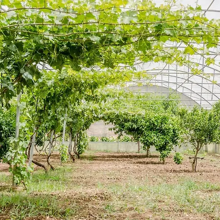 Vivere Gli Iblei - Maison En Plain Air Domek letniskowy Ragusa